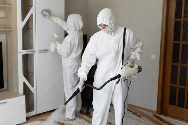 Best Emergency Mold Remediation  in Gillette, WY